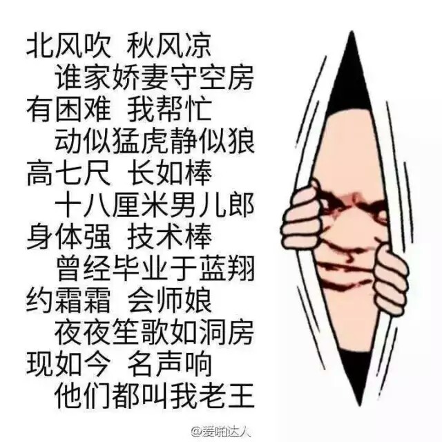 老王1