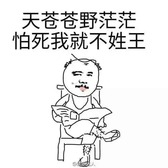 老王6