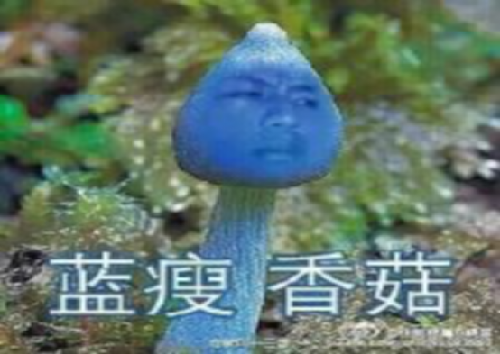 蓝瘦香菇