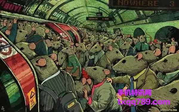 2019111508
