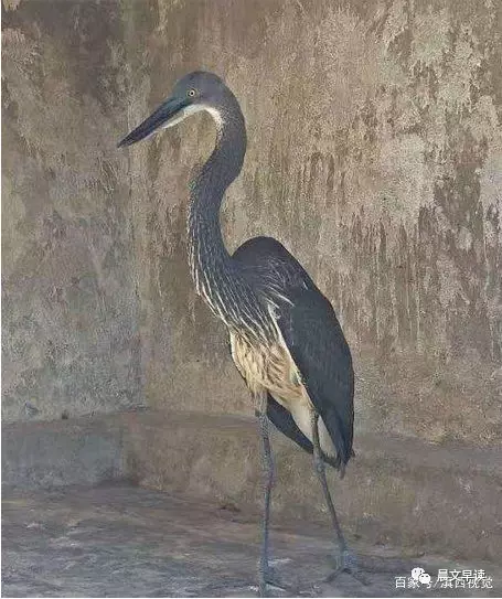 2019112501