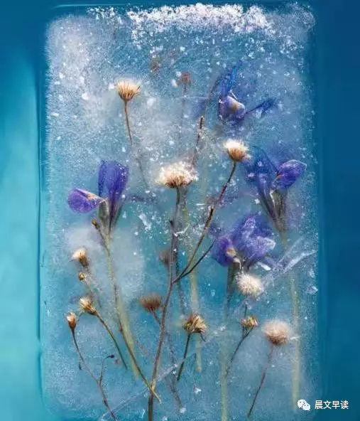 2019120402