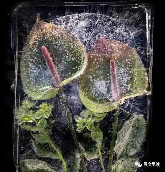 2019120403