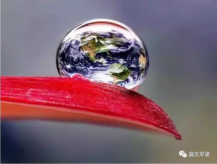 2019120603