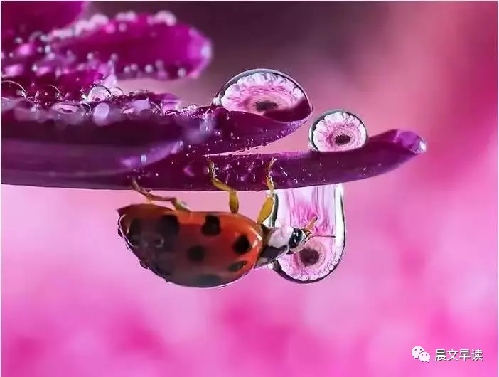 2019120604