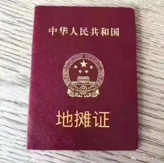 摆摊证