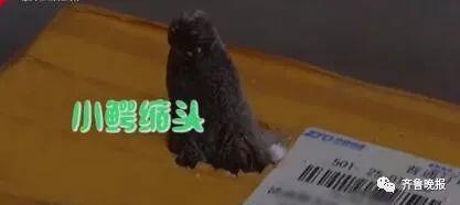 5855