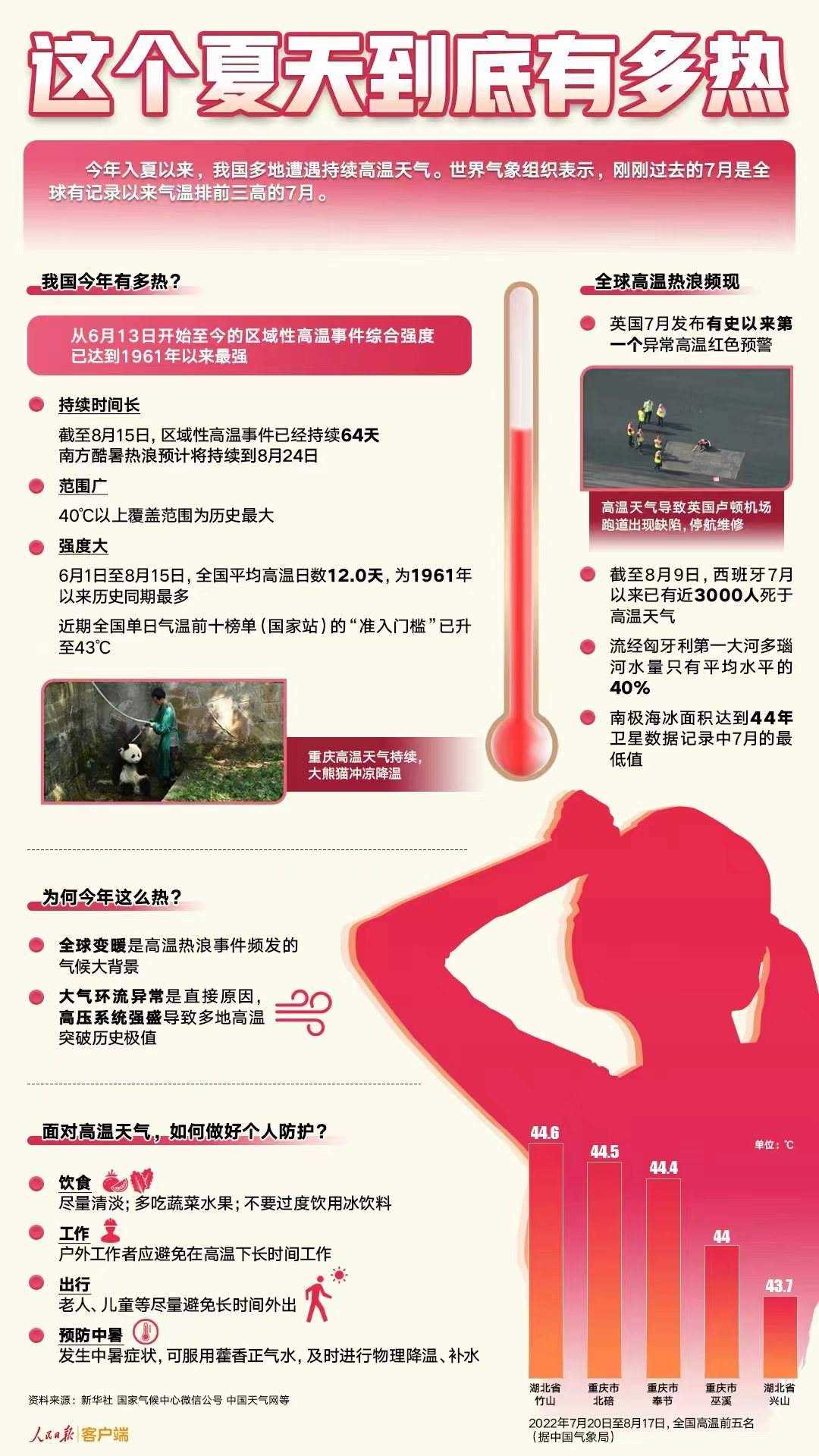洋芋