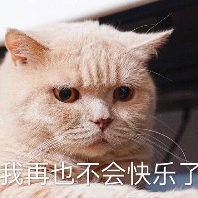 呼叫特讯高管