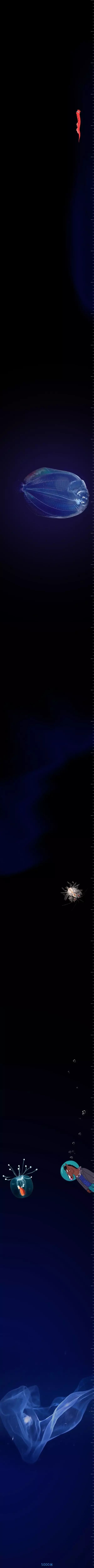 【胆小勿扰】深海一万米